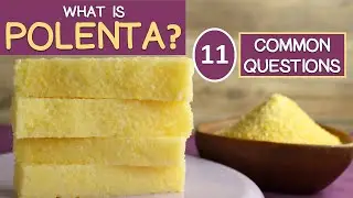 POLENTA, 11 Commonly Asked Questions