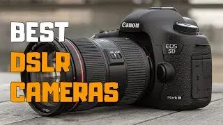 Best DSLR Cameras in 2020 - Top 6 DSLR Camera Picks