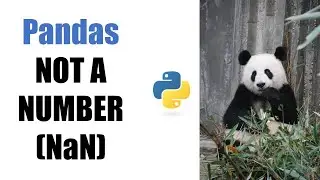 PANDAS ULTIMATE GUIDE TO NAN (NOT A NUMBER)