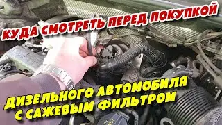 Куда смотреть перед покупкой дизельного автомобиля с сажевым фильтром