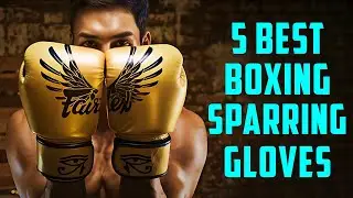 Top 5 Best Boxing Sparring Gloves 2024 | Best Boxing Gloves 🥊 Review