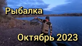 Рыбалка на реке 18 октября 2023 г.Это писец!Оставил раколовки на ночь и был в шоке от такого улова.