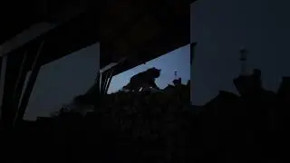 Каждой киське по мамке, каждой собачке по полной миске🥰🙏🏻