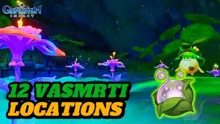 NURSERIES IN THE WILD 12 VASMRTI LOCATIONS! (GUIDE) | Genshin Impact