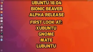 First Look at the Bionic Beaver Family !