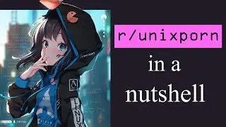 r/unixporn in a nutshell