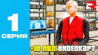 ПУТЬ ДО 10 МИЛЛИАРДОВ на РОДИНА РП #1 - ПЕРВЫЕ ВИДЕОКАРТЫ 10 УРОВНЯ (Rodina RP CRMP)