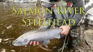 Salmon River Steelhead on the Fly 2019 Winter