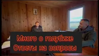 Много о голубике  / Ответы на вопросы / УП «Божий Дар» / Часть 1