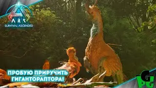 Gigantoraptor Огромная Курица в АРК #arksurvivalascended #arksurvivalevolved #live