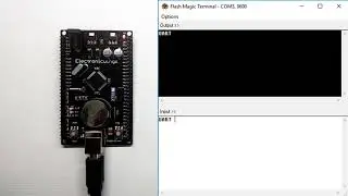 ARM UART Interrupt
