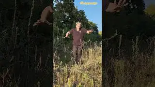 Самый забавный танец что я когда либо видел 👍🕺🌳