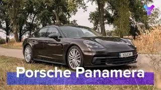 Porsche Panamera 4 E-Hybrid 2020 : полдня в Порше. Блиц-обзор You.Car.Drive. 