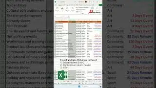 Quick and Easy Way to Add Multiple rows and column in Excel and Google Sheets - Excel Tip and Tricks