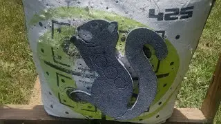 OnCore 2D Archery Target Review - The Gray Squirrel