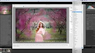 Easy Tutorial For Creating A Text Watermark in Lightroom