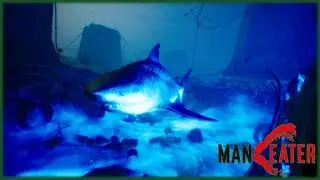 Радиоактивная акула | Maneater