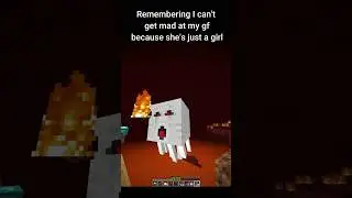 Minecraft meme