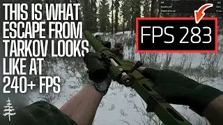 This is What Escape From Tarkov at 240+ FPS Looks Like