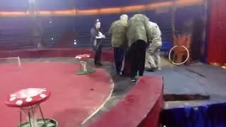22 03 2018 Омск как дрессируют медведя эпизод 13