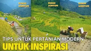 Beberapa Tips Pertanian Modern Untuk Inspirasi