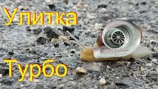 Ремонт авто Аликанте Испания Улитка Турбо