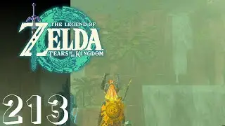 The Perfect View | The Legend of Zelda: Tears of the Kingdom | Part 213