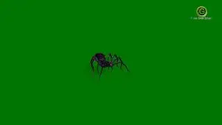 Spider 1 Green Screen HD