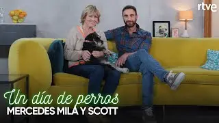 Mercedes Milá y Scott | #1 | Un día de perros con Dani Rovira