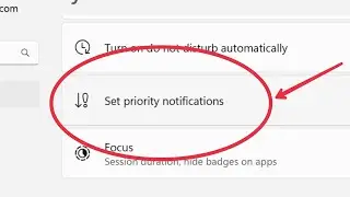 Set priority notifications in Windows 11