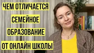 Отличия семейного образования от обучения в онлайн школе 