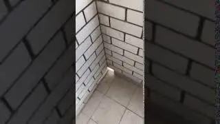 СМЕХ ДА ЮМОР: сделал коту дырку