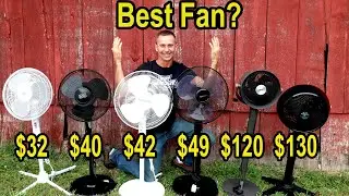 Best Fan? Let’s Find Out!