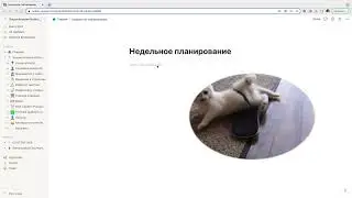 Как планировать неделю в Notion? Готовый шаблон по дням
