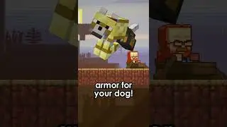 DOG ARMOR OFFICIALLY REVEALED! Minecraft Mob Vote: The Armadillo! #minecraft #mobvote