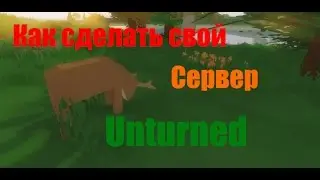 Как сделать свой сервер для Unturned