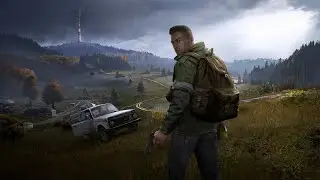 DayZ Stream with Wolf & the Occasional Ferret (Testing 1080p)