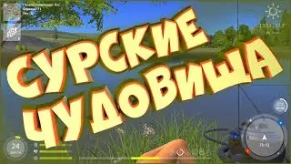 Фарм сазана на реке Сура • Русская рыбалка 4 • Ловля фидером