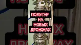 НОВЫЕ ДРОЖЖИ ДЛЯ ВИСКИ #мужскоехобби #дрожжи #виски #настойка #полугар