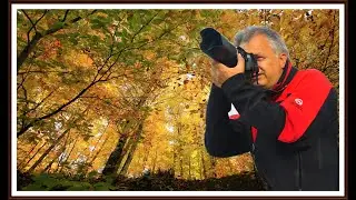 Fotoğraflarda Sonbaharın Tüm Renkleri🍁🌿🍂