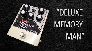 DIY StompBox-2.13 Deluxe Memory Man.
