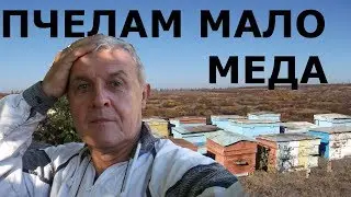 А если мало меда пчелам на зиму...? Осень. Октябрь.