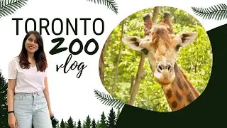 The cutest animal encounters at the Toronto Zoo | Vlog 2024