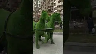 Сказочная игровая площадка в самом центре Еревана!