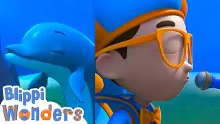 Blippi learns to speak with Dolphins! | Blippi Wonders Educational Videos for Kids