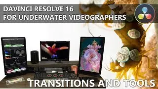 DaVinci Resolve for Underwater Videographers - Transitions and Tools