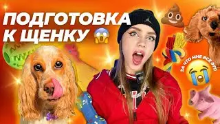 💕ПОДГОТОВКА К ЩЕНКУ | САМОЕ ВАЖНОЕ❌😱