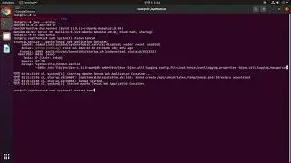 I Will Do Apache Tomcat remote service In Linux | Tomcat Installation