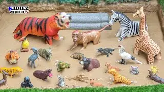 Rescue African Wild Zoo Animals from Muddy Ground
