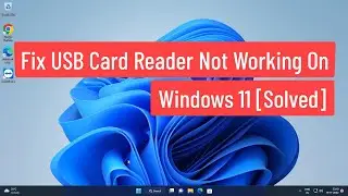 Fix USB Card Reader Not Working On Windows 11 [Solved]